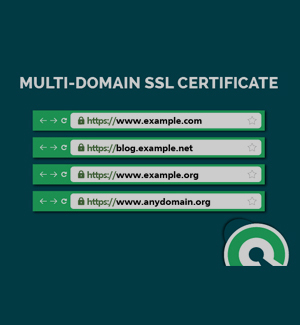 Multi Domain SSL services